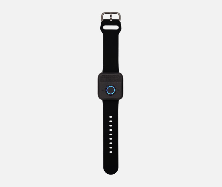 Replacement Wristband for On-the-Go Wristband Device
