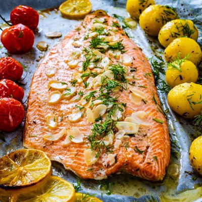salmon salmon
